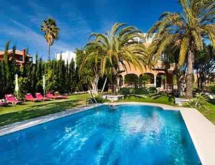 Front Mer - Sublime Appartement Moderne Et Confortable เอสเตโปนา ภายนอก รูปภาพ
